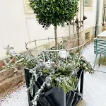 Gaestehaus Schoenitz 4* Meißen